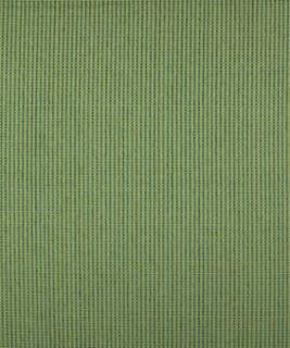 Dorio 12105 M9488 by Barrow Designer Fabric 1869 51% POLYESTER 49% RAYON CHINA 15,000 DOUBLE RUBS </p><p>Repeat: Horizontal: N/A and Vertical: N/A 54" Minimum - Swanky Fabrics -