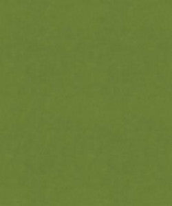 Flatbread 12103 M9989 By Barrow Industries Fabric