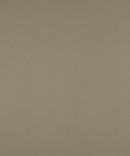 No Worries Seagull M9166 by Barrow Designer Fabric 12CL06 67% POLYESTER (F) 33% POLYESTER (S) CHINA 50,000 DOUBLE RUBS </p><p>Repeat: Horizontal: N/A and Vertical: N/A 54" Minimum - Swanky Fabrics -