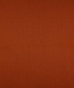 Terrapin Creek Cinnamon M8926 by Barrow Fabric