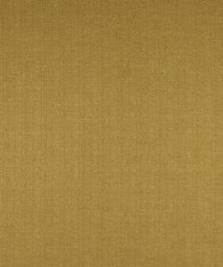 Pearson Camel M7286 by Barrow Fabric