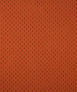 Dashing Tamale M8807 By Barrow Industries Fabric