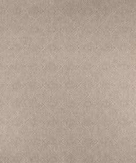 Viareggio 21103 M9962 by Barrow Designer Fabric 1907 65% POLYESTER (F)
35% POLYESTER (S) CHINA 75,000 DOUBLE RUBS </p><p>Repeat: Horizontal: and Vertical: 54" Minimum - Swanky Fabrics -