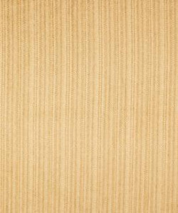 Shackleford Golden M8946 By Barrow Industries Fabric
