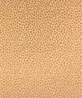 Perdita 11115 M9641 by Barrow Fabric 16C03 100% POLYESTER CHINA 15,000 DOUBLE RUBS </p><p>Repeat: Horizontal: 6 3/4" and Vertical: 6 3/4" 54" Minimum - Fabric Carolina -