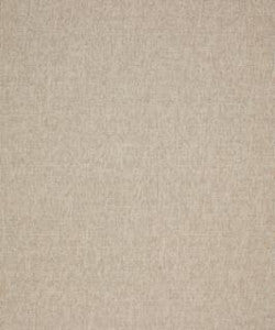 Ritzy 11302 M10581 by Barrow Fabric