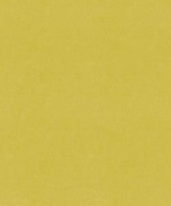 Counterpoint 51205 M9989 By Barrow Industries Fabric