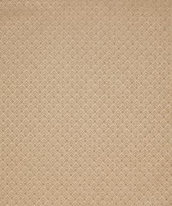 Dublin 11113 M10393 By Barrow Industries Fabric