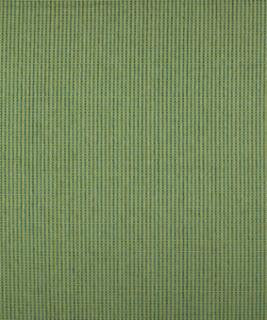 Dorio 12105 M9488 by Barrow Industries Designer Fabric Transitional/1869 51% POLYESTER
49% RAYON Asia 15,000 DOUBLE RUBS Horizontal: N/A and Vertical: N/A 57" - Swanky Fabrics -