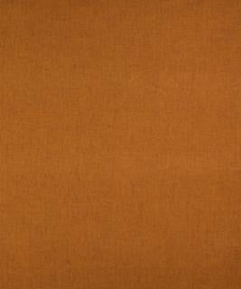 Twill Ginger M9175 by Barrow Fabric 14C04 100% POLYESTER FILAMENT NON-TEXTURED CHINA 42,000 DOUBLE RUBS </p><p>Repeat: Horizontal: N/A and Vertical: N/A 54" Minimum - Fabric Carolina -