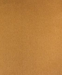 Saguaro Beach M9591 By Barrow Industries Fabric