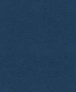 Counterpoint 61909 M9989 By Barrow Industries Fabric