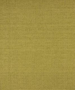 Loyal Lime M9446 by Barrow Fabric