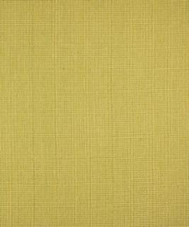 Cringle Lime M9497 by Barrow Industries Designer Fabric Transitional/15CL02 37% POLYESTER
32% RAYON
31% COTTON Asia 9,000 DOUBLE RUBS Horizontal: N/A and Vertical: N/A 56" - Swanky Fabrics -