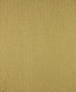 Blithewold Peridot M8143 by Barrow Designer Fabric 09C02 61% RAYON 35% POLYESTER 4% COTTON CHINA 18,000 DOUBLE RUBS </p><p>Repeat: Horizontal: N/A and Vertical: N/A 54" Minimum - Swanky Fabrics -