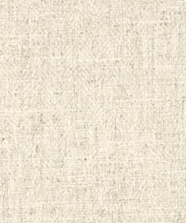 Term 71001 M10316 by Barrow Industries Fabric Barrow Industries Fabric Term 71001 M10316Fabric 22C10 100% POLYESTER (S) Imported </p><p>Repeat: H: , V: 58" - Fabric Carolina -
