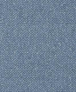 Genesis 1904 M11113 by Barrow Industries Fabric