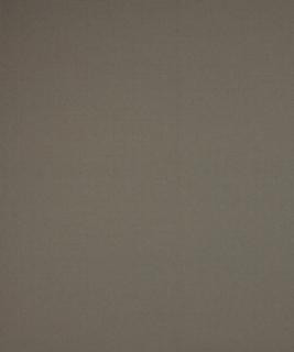 Fiji 11002 M10951 by Barrow Industries Designer Fabric 21CL04 100% POLYESTER FILAMENT NON-TEXTURED CHINA </p><p>Repeat: Horizontal: and Vertical: 54" Minimum - Swanky Fabrics -