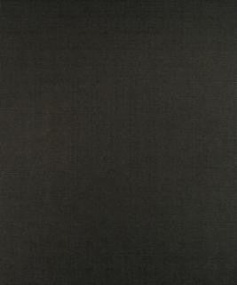Grayson Graphite M9134 by Barrow Designer Fabric 13CL02 52% POLYESTER FILAMENT-TEXTURED 48% POLYESTER FILAMENT NON-TEXTURED CHINA 30,000 DOUBLE RUBS </p><p>Repeat: Horizontal: N/A and Vertical: N/A 54" Minimum - Swanky Fabrics -