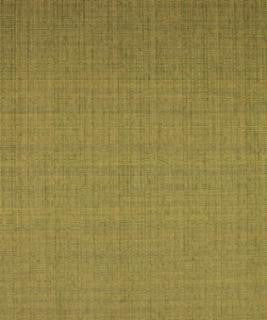 Rawn Fern M7709 by Barrow Fabric 2913 71% POLYESTER
29% ACRYLIC CHINA 24,000 DOUBLE RUBS </p><p>Repeat: Horizontal: N/A and Vertical: N/A 54" Minimum - Fabric Carolina -