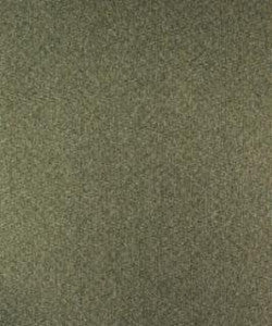 Cervet 12114 M10070 By Barrow Industries Fabric