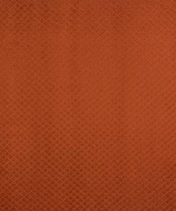 Tempo Tamale M8914 by Barrow Fabric