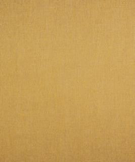 Betty Topaz M7929 by Barrow Designer Fabric 2813 62% POLYESTER 38% RAYON CHINA 15,000 DOUBLE RUBS </p><p>Repeat: Horizontal: N/A and Vertical: N/A 54" Minimum - Swanky Fabrics -