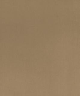 Santiago 11305 M10751 by Barrow Industries Designer Fabric 21C11 100% POLYESTER KNIT PILE FABRIC CHINA </p><p>Repeat: Horizontal: and Vertical: 54" Minimum - Swanky Fabrics -