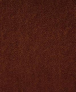 Parma 11617 M10285 By Barrow Industries Fabric