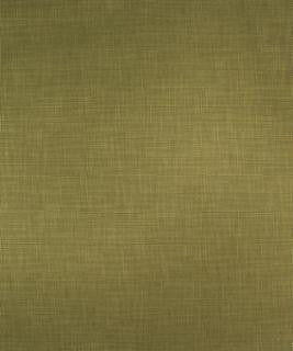 Gabion Kelp M9695 by Barrow Fabric 15CL09 100% POLYESTER CHINA 42,000 DOUBLE RUBS </p><p>Repeat: Horizontal: and Vertical: 54" Minimum - Fabric Carolina -