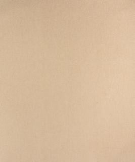 Saguaro Ivory M9591 by Barrow Designer Fabric 14C01 100% POLYESTER CHINA 9,000 DOUBLE RUBS </p><p>Repeat: Horizontal: and Vertical: 54" Minimum - Swanky Fabrics -