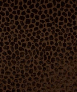 Tabitha Espresso M9252 by Barrow Fabric