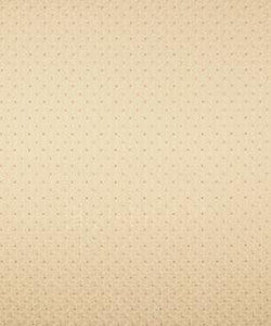 Petulant Birch M8675 by Barrow Fabric