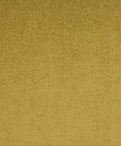 Daley Kelp M7976 by Barrow Fabric