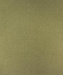 M10078B 52103 M10078 by Merrimac Designer Fabric Galleries/MGALL15 77% POLYESTER (S)
23% POLYESTER (F) Asia 30,000 DOUBLE RUBS Horizontal: - and Vertical: - 57" - Swanky Fabrics -