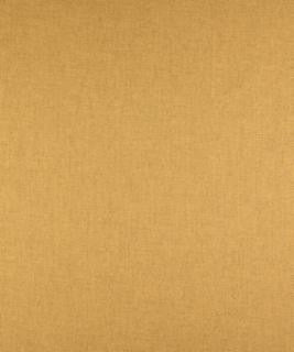 Arkwright 31305 M9175 by Barrow Fabric 19CL06 100% POLYESTER FILAMENT NON-TEXTURED CHINA 42,000 DOUBLE RUBS </p><p>Repeat: Horizontal: N/A and Vertical: N/A 54" Minimum - Fabric Carolina -