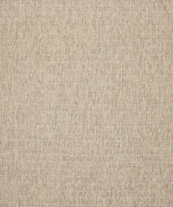 Throttle 21011 M10520 by Barrow Industries Fabric