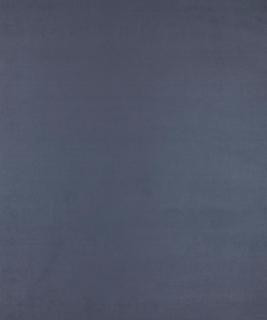 All-Star Lapis M6802 by Barrow Fabric 12CL06 56% POLYESTER (S)
44% POLYESTER (F) CHINA 40,000 DOUBLE RUBS </p><p>Repeat: Horizontal: N/A and Vertical: N/A 54" Minimum - Fabric Carolina -