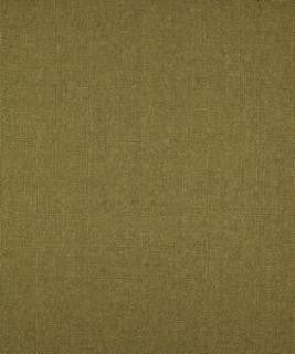 Thick And Thin Rosemary M9269 by Barrow Industries Designer Fabric Performance Fabrics/12CL06 100% POLYESTER FILAMENT-TEXTURED Asia 50,000 DOUBLE RUBS Horizontal: N/A and Vertical: N/A 60" - Swanky Fabrics -