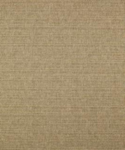 Caspian 11111 M10256 by Barrow Fabric