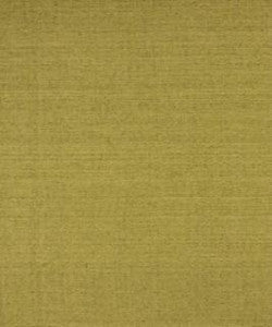 Loyal Lime M9446 By Barrow Industries Fabric