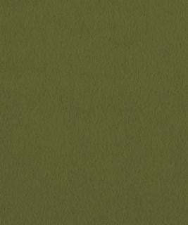 Santiago 2104 M10751 by Barrow Industries Fabric Barrow Industries Fabric Santiago 2104 M10751Fabric DRS SANTIAGO 100% POLYESTER KNIT PILE FABRIC Imported </p><p>Repeat: H: , V: 57" - Fabric Carolina -