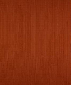 Terrapin Creek Cinnamon M8926 By Barrow Industries Fabric