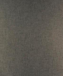Sternpost Graphite M9701 by Barrow Designer Fabric 15CL07 100% POLYESTER FILAMENT-TEXTURED CHINA 30,000 DOUBLE RUBS </p><p>Repeat: Horizontal: and Vertical: 54" Minimum - Swanky Fabrics -