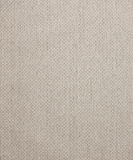 Sumptuous 11001 M10351 by Barrow Designer Fabric 18C01 100% POLYESTER CHINA 15,000 DOUBLE RUBS </p><p>Repeat: Horizontal: and Vertical: 54" Minimum - Swanky Fabrics -