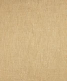 Compliment Sand T10726 by Barrow Designer Fabric 10C01 62% POLYESTER 38% RAYON CHINA 15,000 DOUBLE RUBS </p><p>Repeat: Horizontal: N/A and Vertical: N/A 54" Minimum - Swanky Fabrics -
