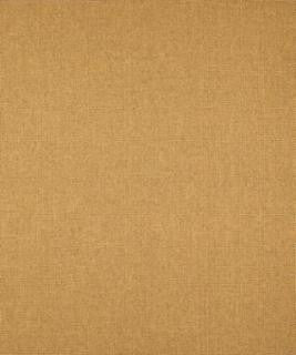Thick And Thin Golden M9269 by Barrow Industries Designer Fabric Performance Fabrics/12CL06 100% POLYESTER FILAMENT-TEXTURED Asia 50,000 DOUBLE RUBS Horizontal: N/A and Vertical: N/A 60" - Swanky Fabrics -