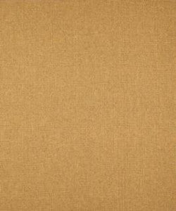 Thick And Thin Golden M9269 by Barrow Fabric