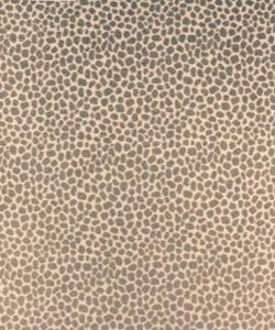 Perdita 12314 M9641 By Barrow Industries Fabric