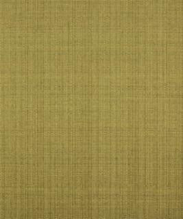 Ramble Alfalfa M7709 by Barrow Fabric 10C02 71% POLYESTER 29% ACRYLIC CHINA 24,000 DOUBLE RUBS </p><p>Repeat: Horizontal: N/A and Vertical: N/A 54" Minimum - Fabric Carolina -